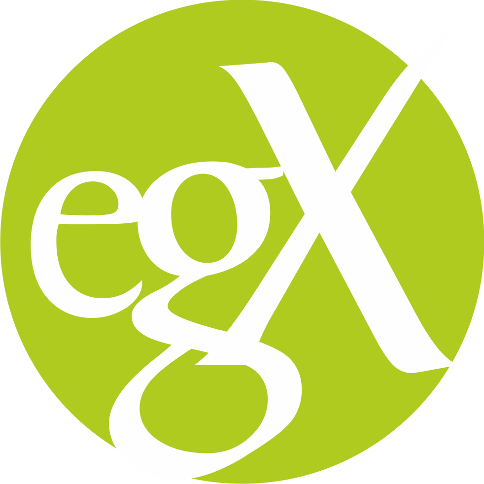 Ortopedia Ergox S.L. Ortopedia Ergox - Logo
